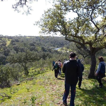 Agroturismo Xistos Cerca المظهر الخارجي الصورة