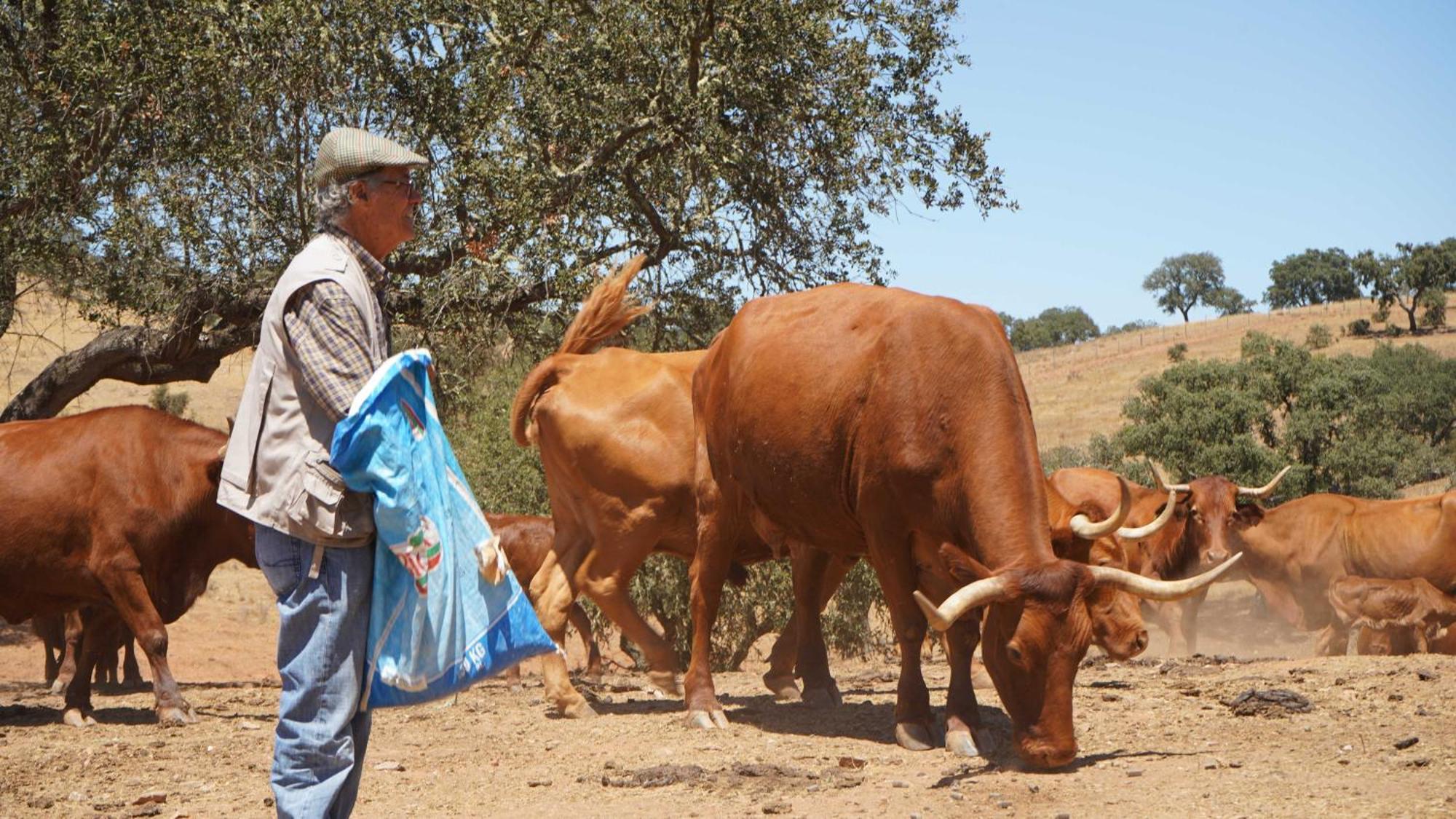 Agroturismo Xistos Cerca المظهر الخارجي الصورة